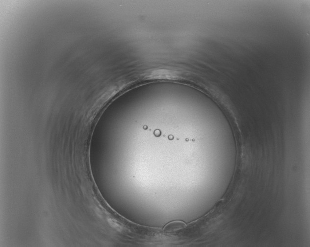 X0000077370529200610271922