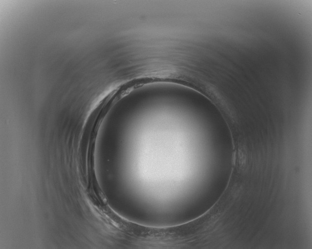 X0000077370532200610271922