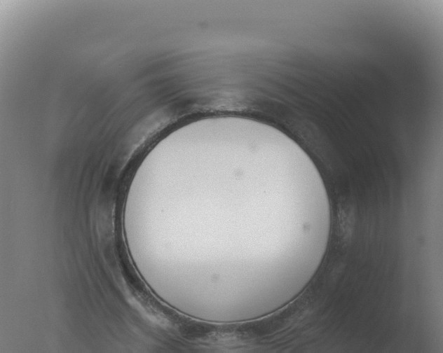 X0000077370534200610271922