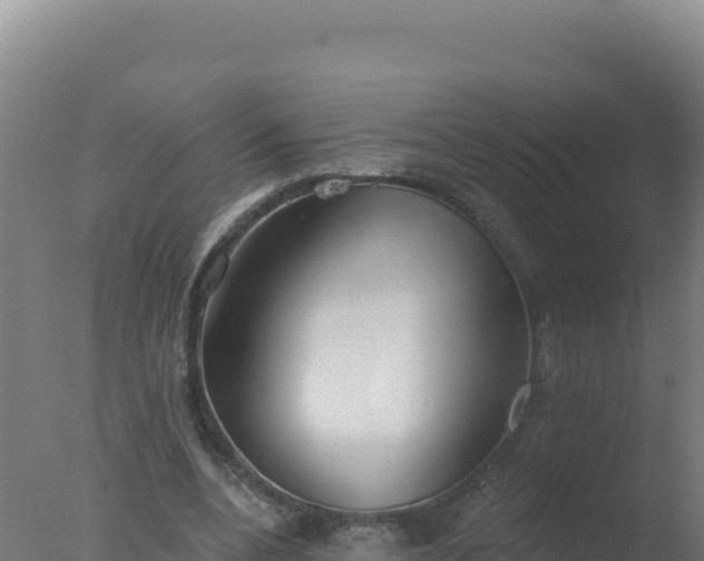 X0000077370536200610271922