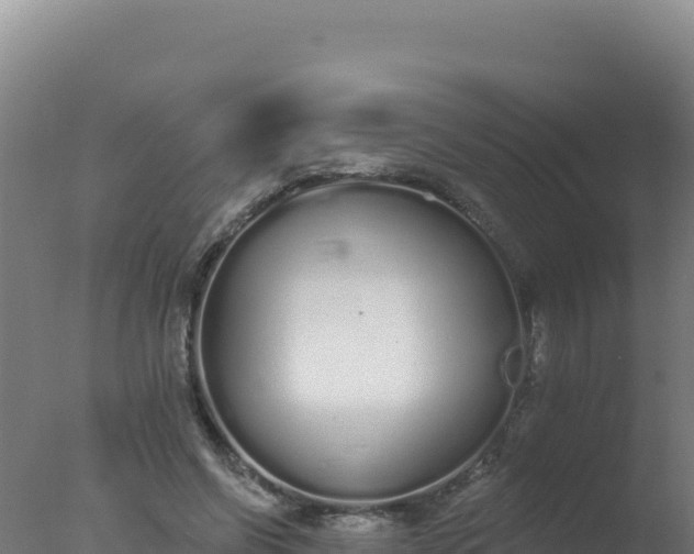 X0000077370542200610271923