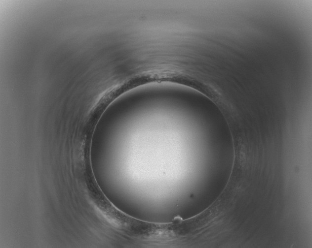 X0000077370543200610271923