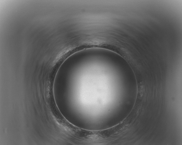 X0000077370544200610271923