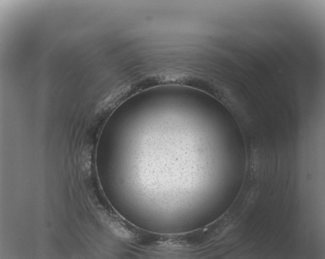 X0000077370545200610271923