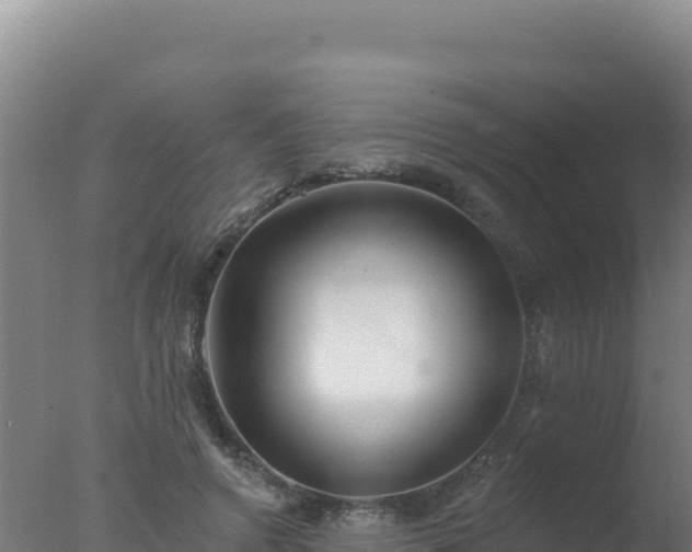 X0000077370546200610271923