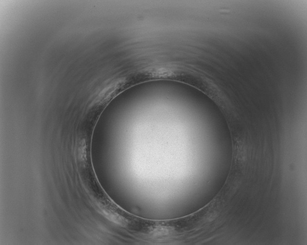 X0000077370549200610271923