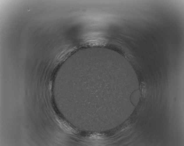 X0000077370550200610271923