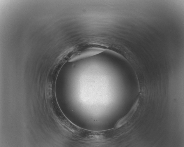 X0000077370552200610271923