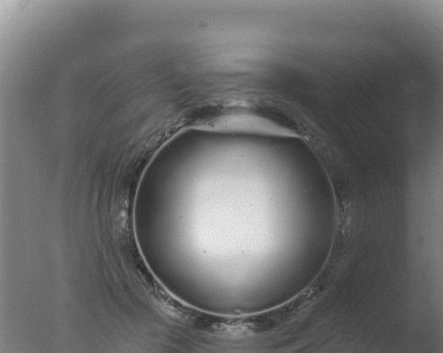 X0000077370553200610271923