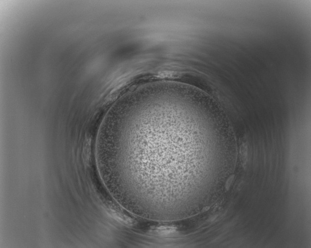 X0000077370554200610271923