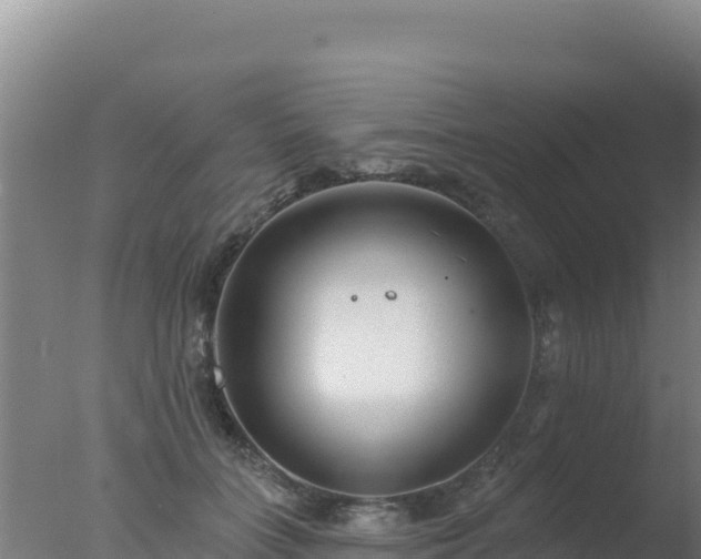 X0000077370555200610271923