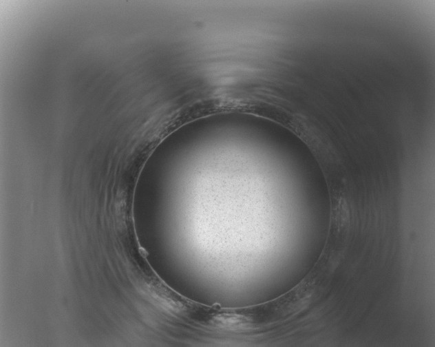 X0000077370557200610271923