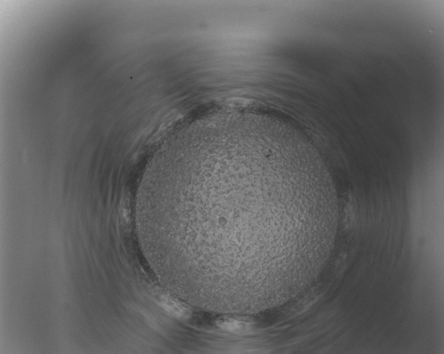 X0000077370561200610271923