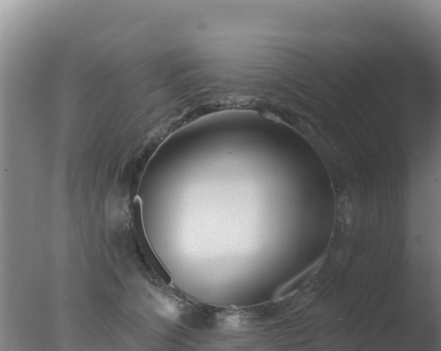 X0000077370564200610271923