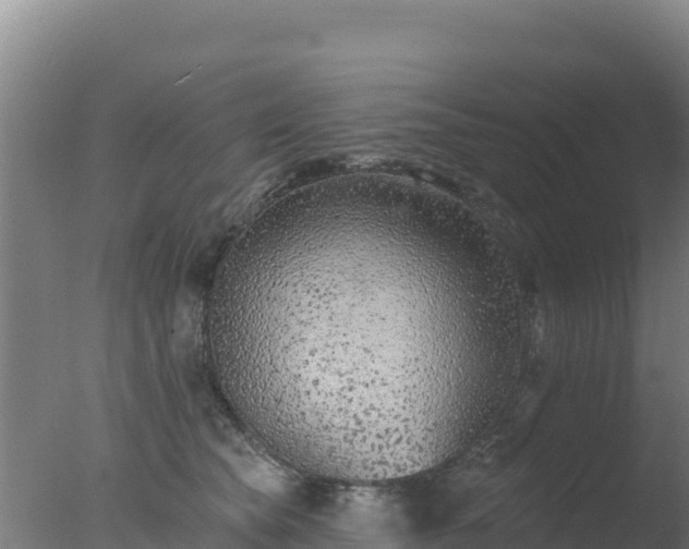 X0000077370565200610271923