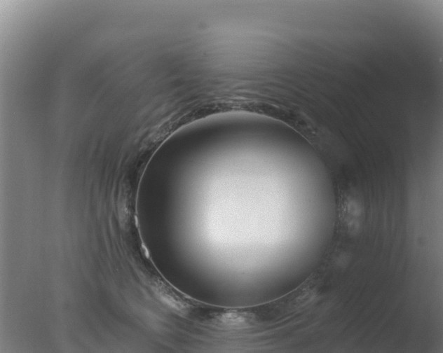 X0000077370566200610271923