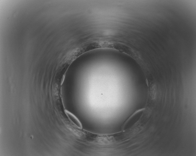 X0000077370571200610271923