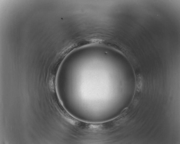 X0000077370573200610271923