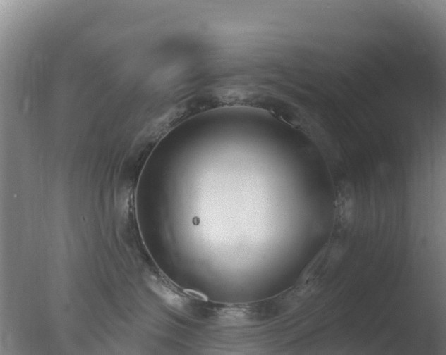 X0000077370574200610271923