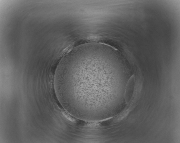 X0000077370576200610271923