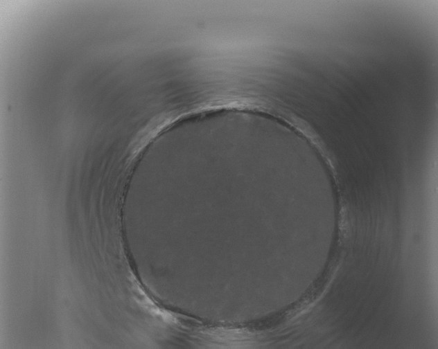 X0000077370577200610271922