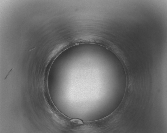 X0000077370578200610271922