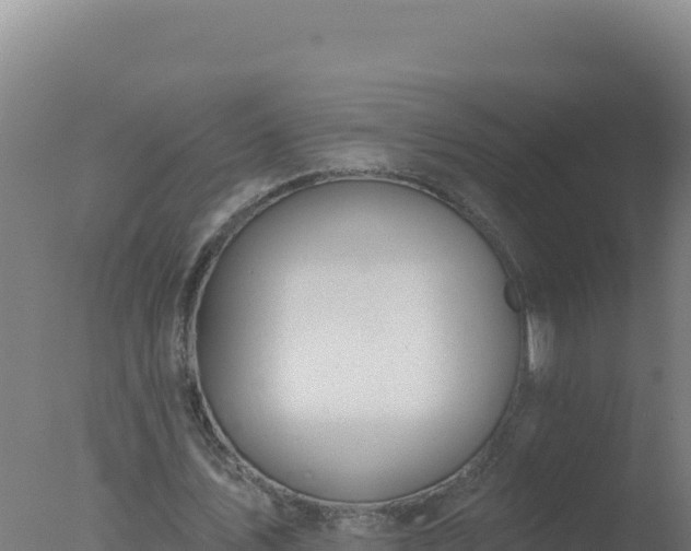 X0000077370579200610271922