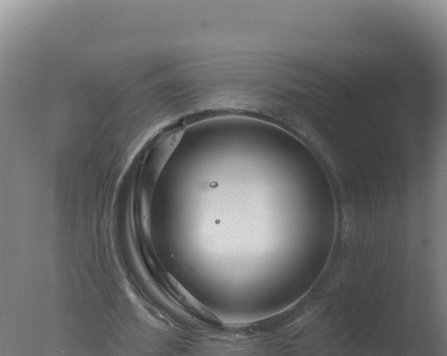 X0000077370580200610271922