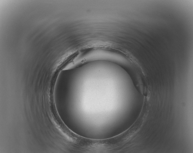 X0000077370581200610271922