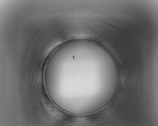 X0000077370583200610271922