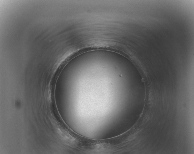 X0000077370584200610271922