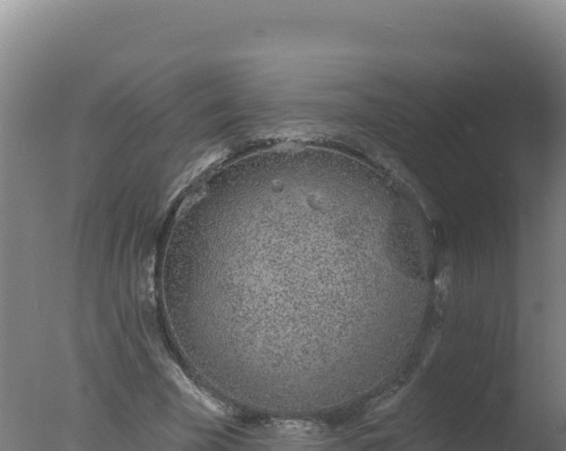 X0000077370585200610271922