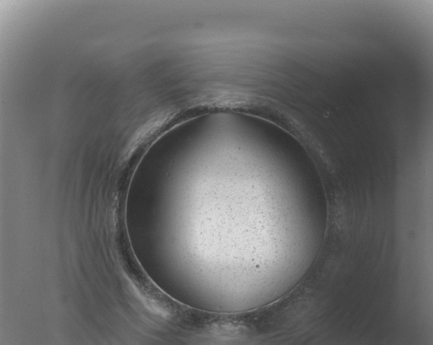 X0000077370586200610271922