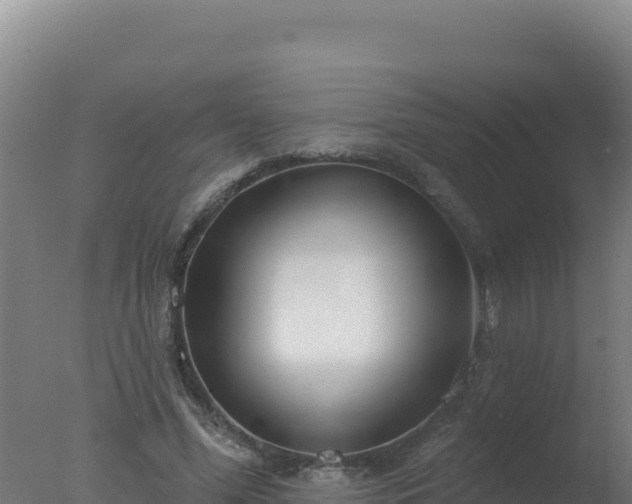 X0000077370588200610271922