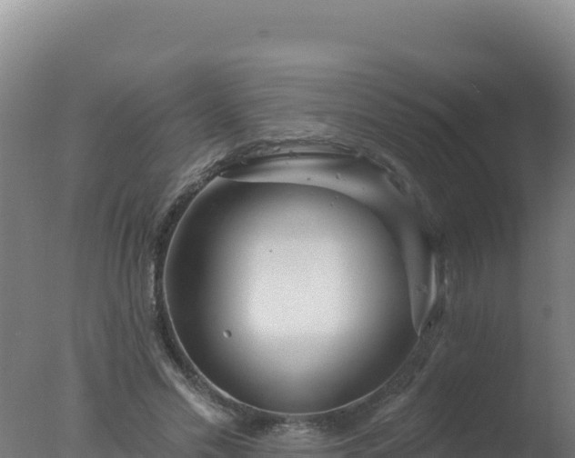 X0000077370589200610271922