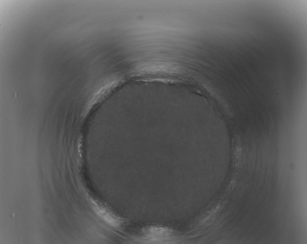 X0000077370590200610271922