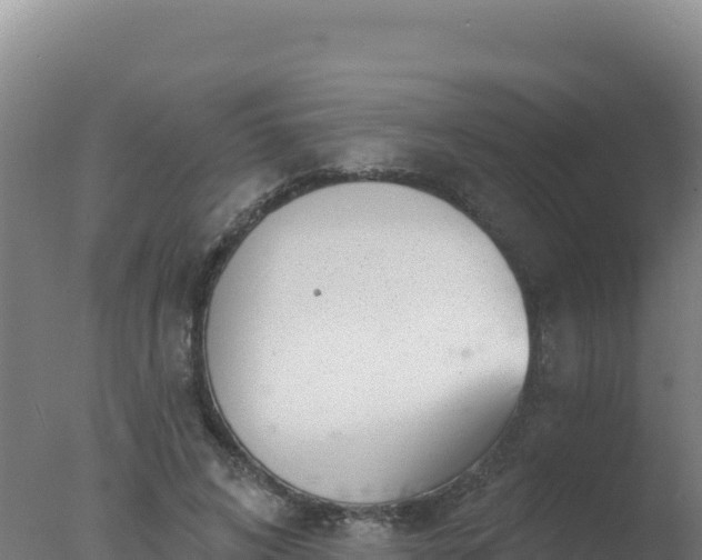 X0000077370592200610271922