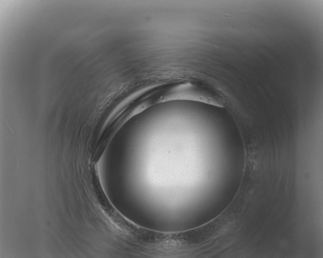 X0000077370593200610271922