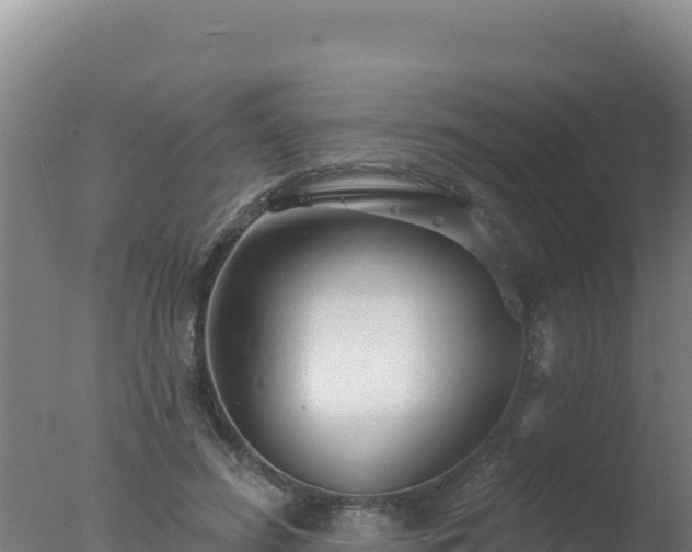 X0000077370596200610271922