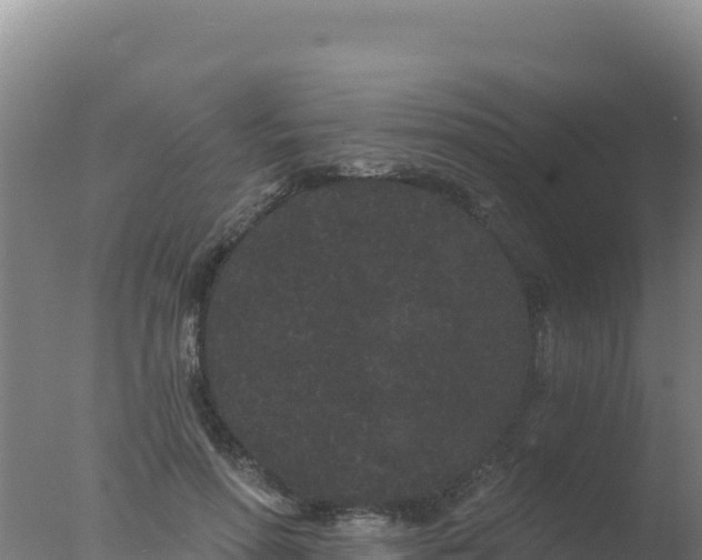 X0000077370598200610271922