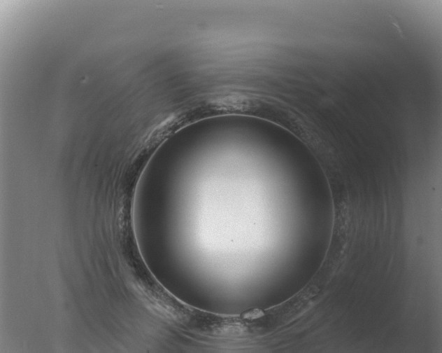 X0000077370600200610271922