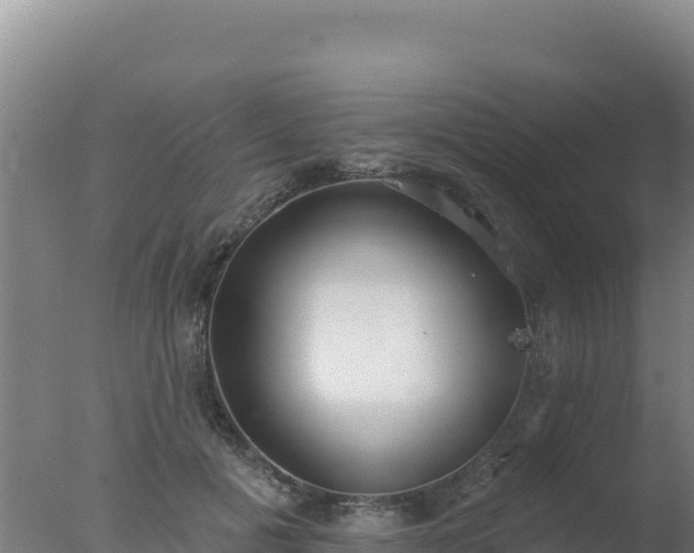 X0000077370601200610271922