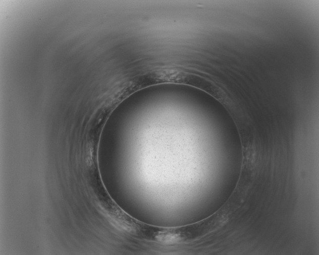 X0000077370602200610271922