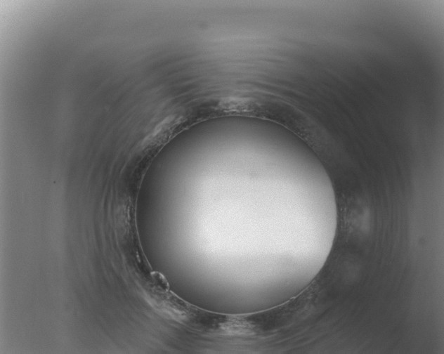 X0000077370603200610271922