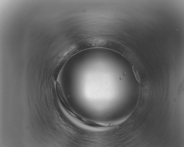 X0000077370604200610271922