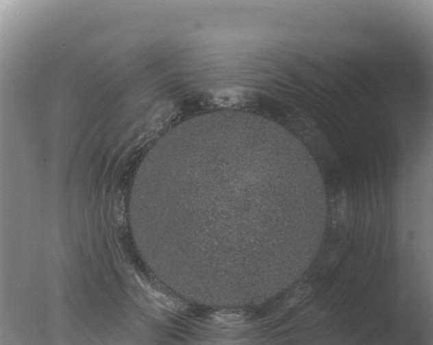 X0000077370606200610271922