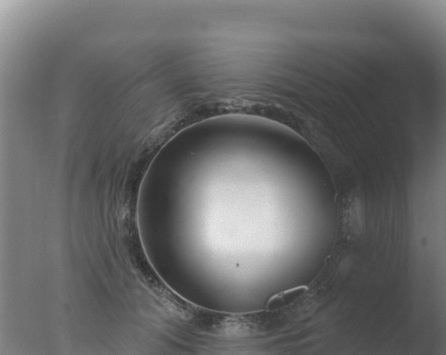 X0000077370608200610271922