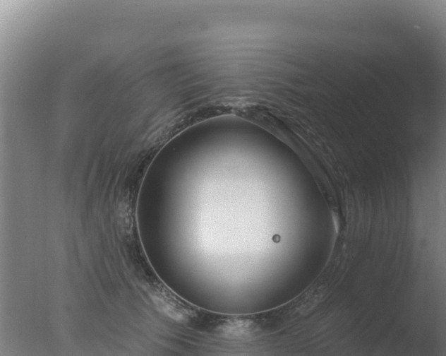 X0000077370609200610271922