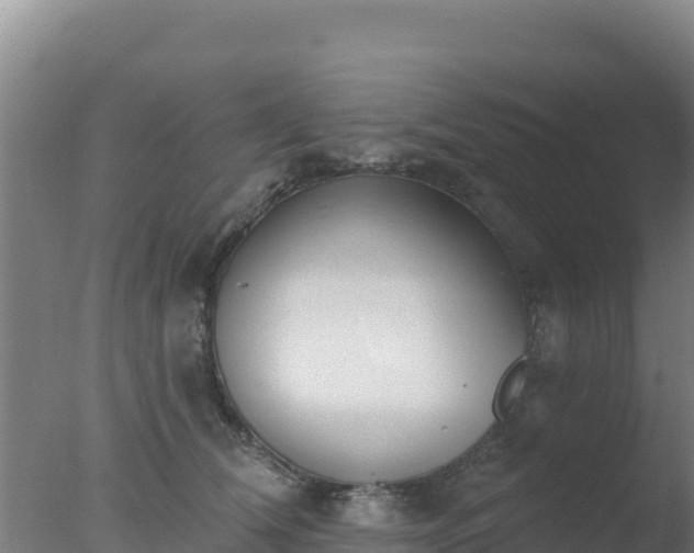 X0000077370612200610271922