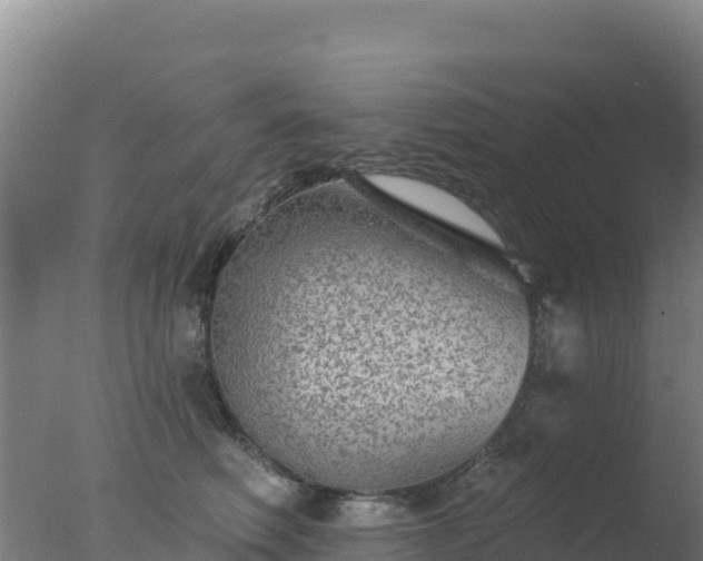 X0000077370614200610271922